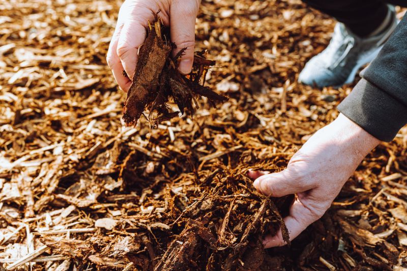 Black Mulch Installation in Ventura County, CA