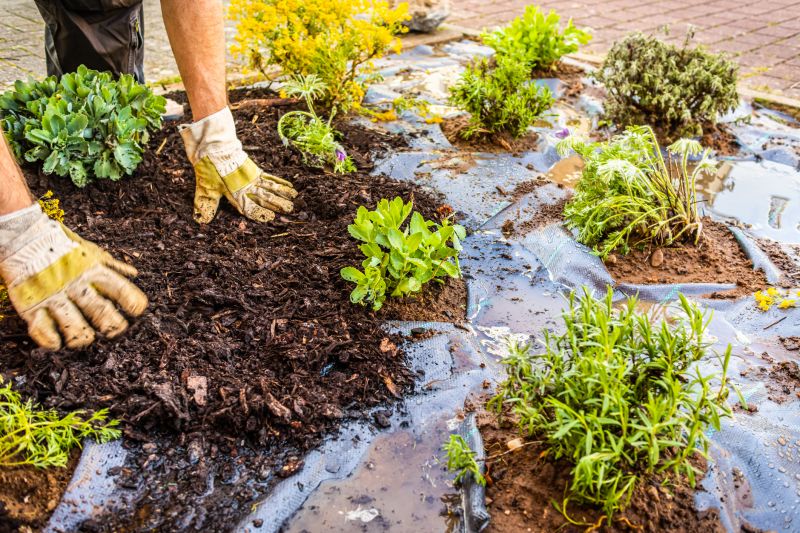 Cedar Mulch Installation in Honolulu, HI