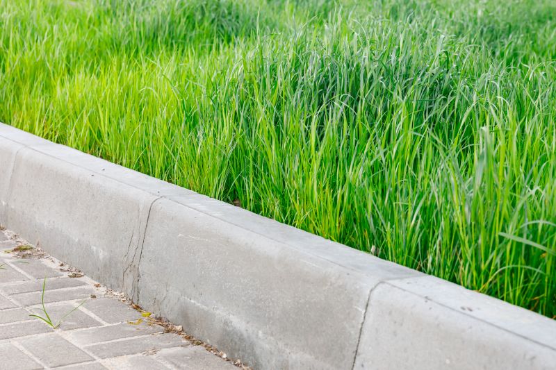 Decorative Curbing Service in Citrus County, FL