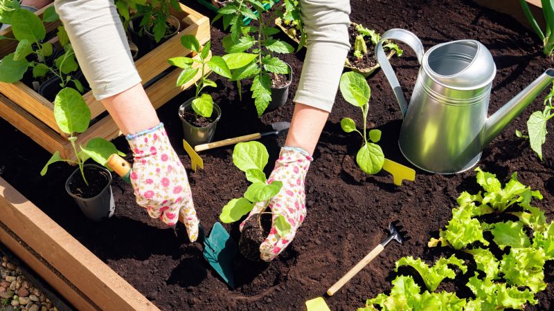 Garden Cleanup Service in Ventura County, CA