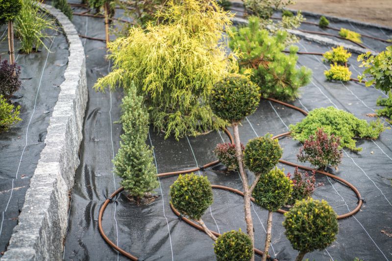 Garden Landscape Design in Honolulu, HI