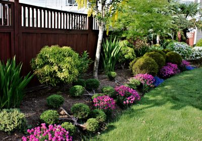 Garden Maintenance Service in Honolulu, HI