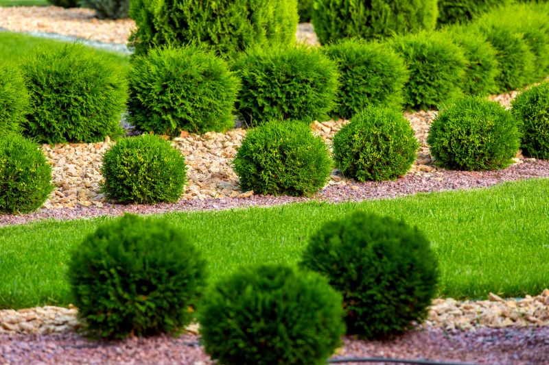 Hedge Installation in Honolulu, HI