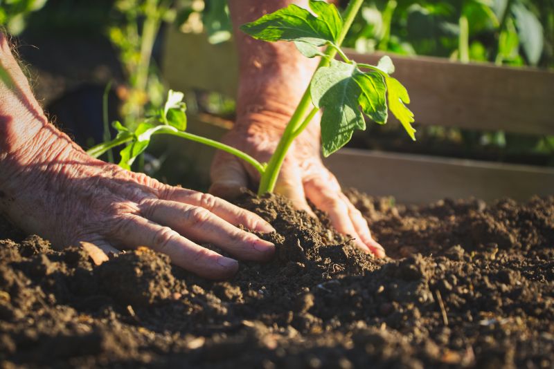 Home Gardening Service in Honolulu, HI