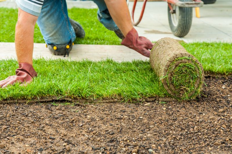 Lawn And Garden Installation in Ventura County, CA