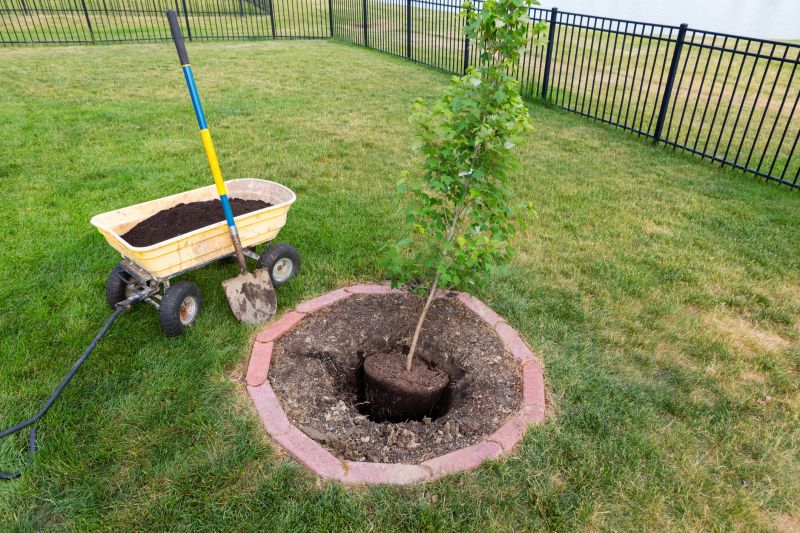 Ornamental Tree Planting in Honolulu, HI
