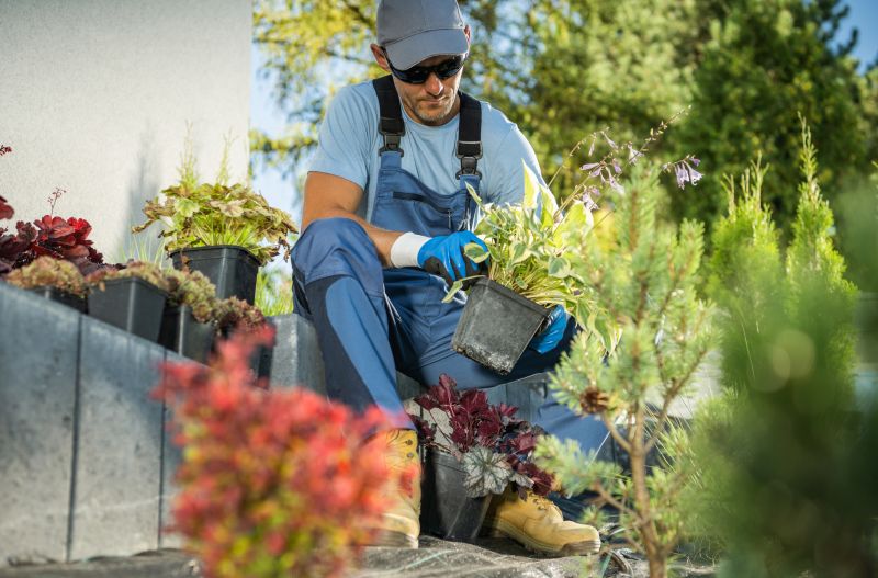 Perennials Planting in Honolulu, HI