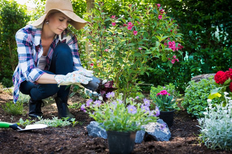 Planting Service in Honolulu, HI