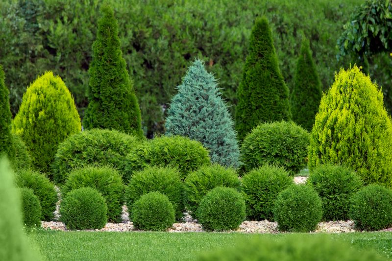 Privacy Shrub Installation in Honolulu, HI