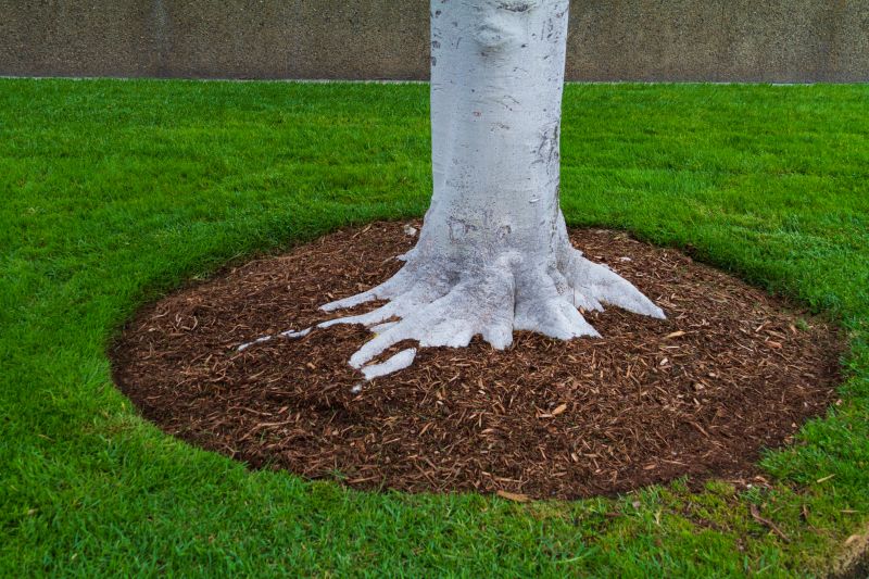 Shredded Mulch Service in Ventura County, CA