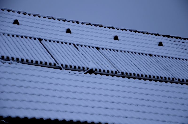 Snow Guard Installation in Kent, WA