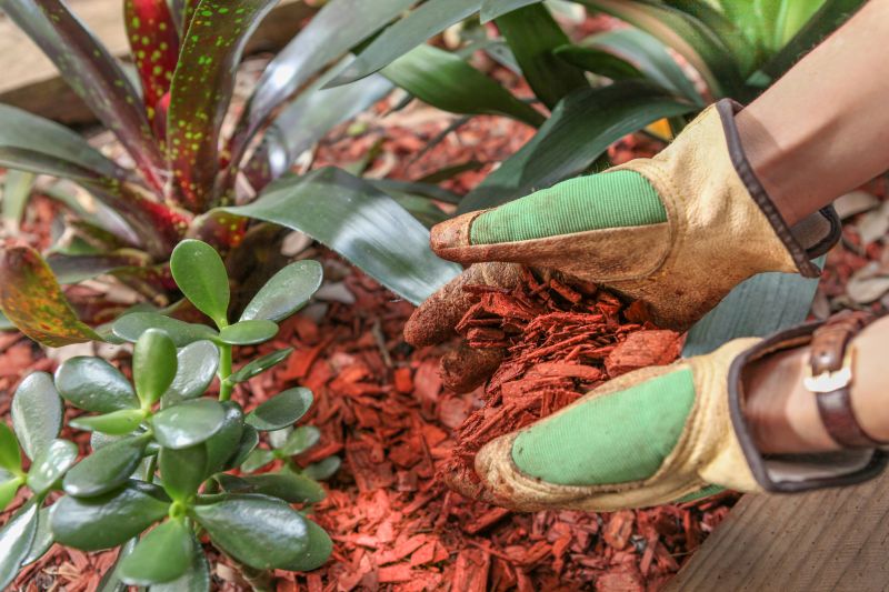 Weeding And Mulching in Honolulu, HI