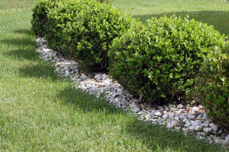 Shrub Landscaping in Honolulu, HI